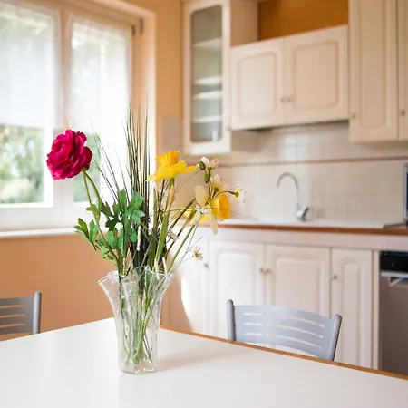 In Near The Ferienhaus